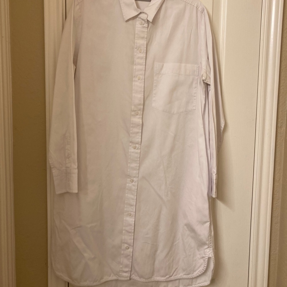 Everlane shirt dress